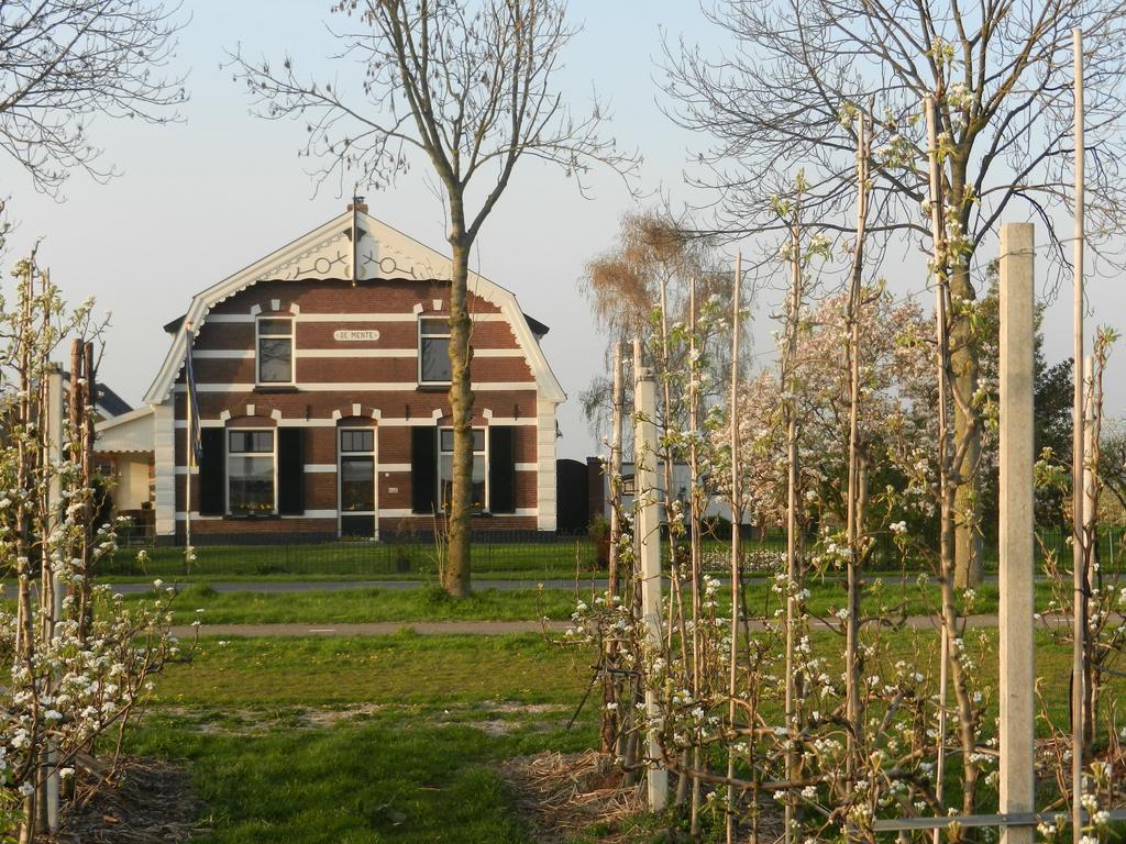 B&B De Bloesemgaard Eck en Wiel Exteriér fotografie